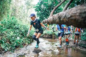 BIB: 
                            <button type="button" onclick="openModal(25373135)" class="btn btn-primary btn-sm float-right btn-popup" data-toggle="modal" data-target=".modal-high-quality">
                        <i class="fas fa-shopping-cart"></i> Add to Cart
                    </button>
                                            <button type="button" onclick="isThisMe(25373135, true)" class="btn btn-success btn-sm float-right btn-popup btn-isme hidden" data-toggle="tooltip" data-placement="bottom" title="นี่คือรูปของคุณใช่ไหม คลิกที่นี่เพื่อเอาเข้าอัลบั้ม">
                        <i class="fas fa-plus"></i> Add to album
                    </button>
                    <button type="button" onclick="isThisMe(25373135, false)" class="btn btn-warning btn-sm float-right btn-popup btn-isnotme hidden">
                        <i class="fas fa-ban"></i> Remove from album
                    </button>